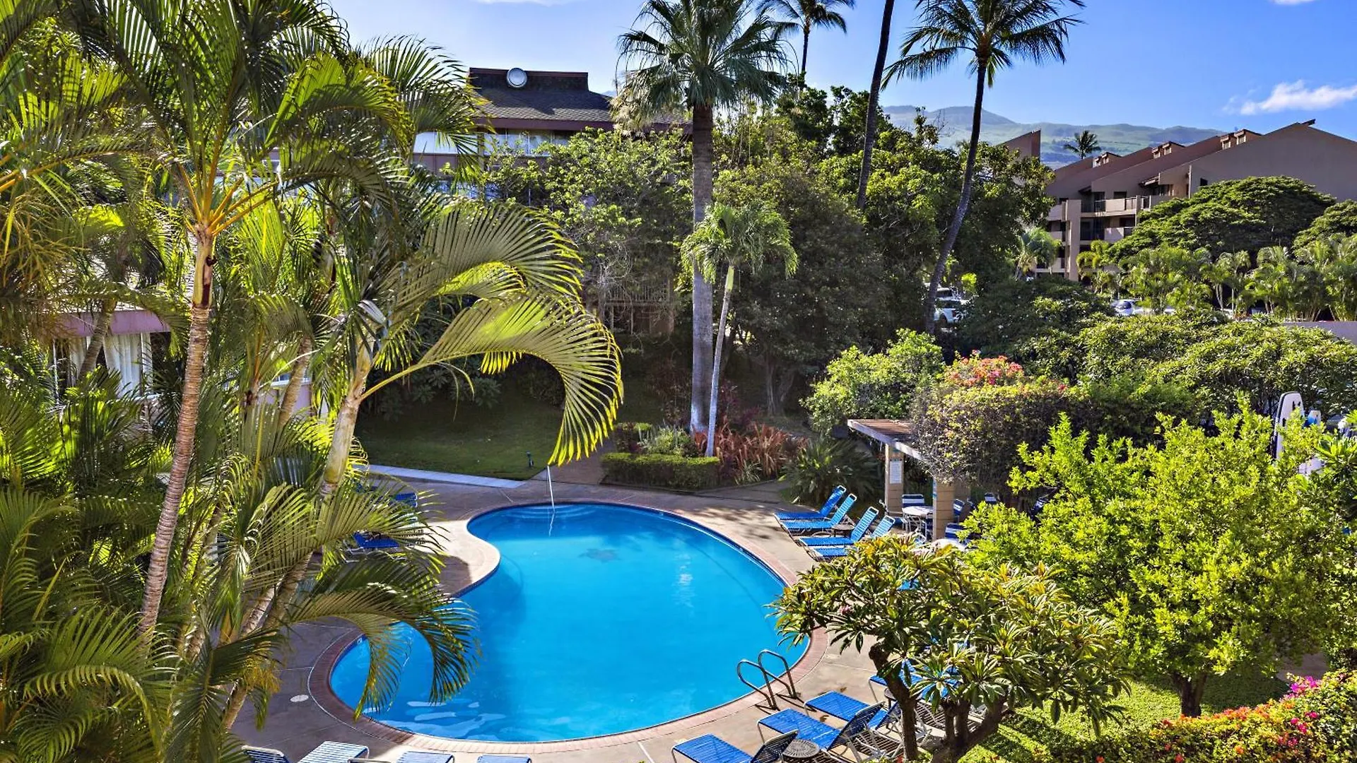 Haleakala Shores A305 Wailea  USA